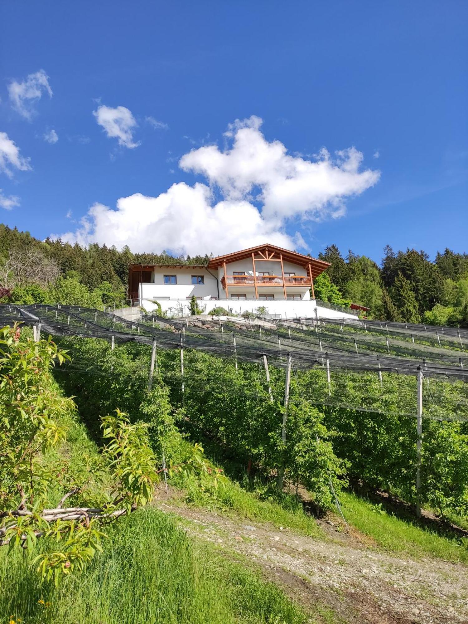 Pruensterhof Schennaアパートメント エクステリア 写真